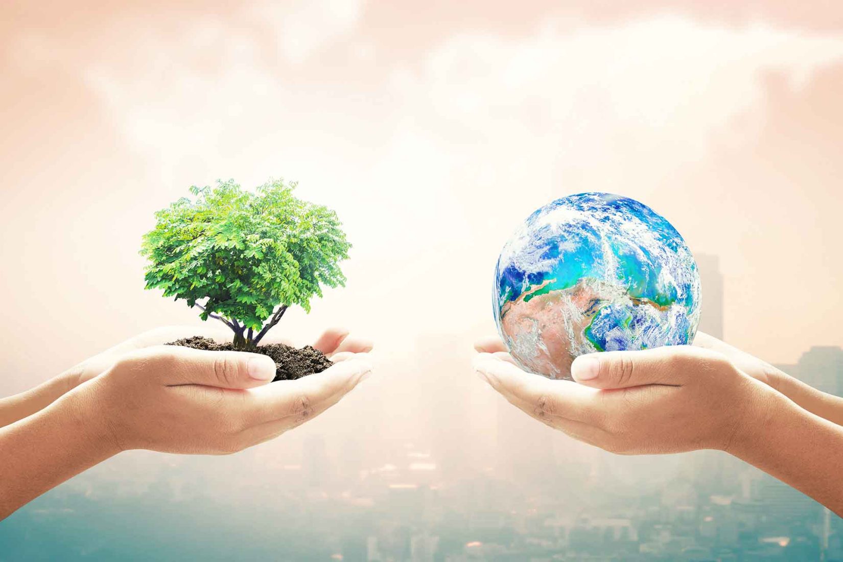 Researches – Institute of Environmental Sciences and Engineering